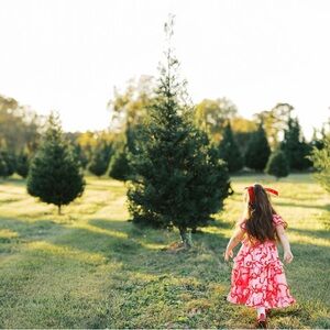 Mini Ribbons and Bows Dress Ivy City